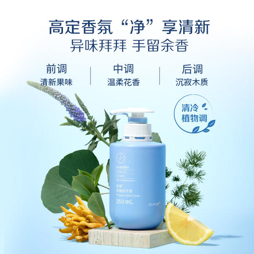 安利必速洗手液/可破坏有害菌细胞膜/净手护手/可用约1年 商品图4