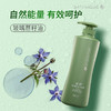 丝婷净护调理二合一洗发露/适用短发/适用所有发质/适合每天使用/富含VE/玻璃苣籽油/柔顺润泽 商品缩略图6