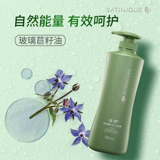 丝婷净护调理二合一洗发露/适用短发/适用所有发质/适合每天使用/富含VE/玻璃苣籽油/柔顺润泽 商品图6