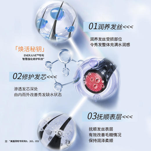 丝婷润泽保湿洗发露/适用干枯毛燥发质/富含石栗籽油滋养精华/维生素原B5 商品图5