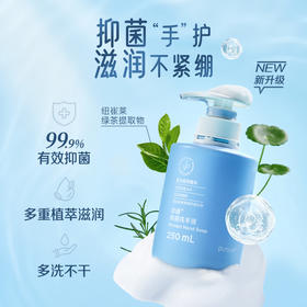 安利必速洗手液/可破坏有害菌细胞膜/净手护手/可用约1年