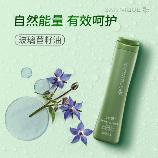 丝婷净护调理二合一洗发露/适用短发/适用所有发质/适合每天使用/富含VE/玻璃苣籽油/柔顺润泽 商品图2