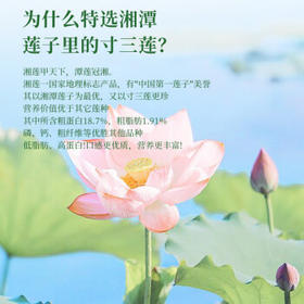 半山农莲子去芯 300g 干货白莲子 湘潭特产祛火降噪百合银耳桂圆煲汤 /粮油调味 /南北干货 /果茎食补干货