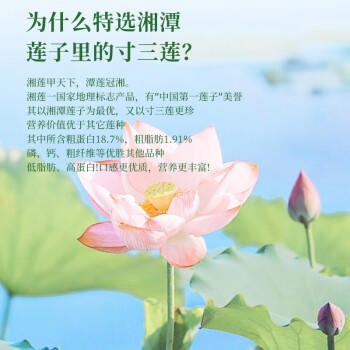 半山农莲子去芯 300g 干货白莲子 湘潭特产祛火降噪百合银耳桂圆煲汤 /粮油调味 /南北干货 /果茎食补干货 商品图0