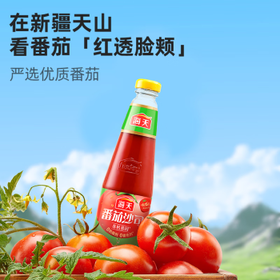海天 番茄酱 番茄沙司510g【0脂 0防腐剂】意大利面披萨薯条酱 调味酱 /粮油调味 /调味品 /西式酱料