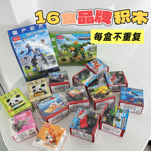 【积分】品牌积木 2大2中12小盒 兼容乐高 商品图2