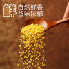 盖亚农场有机小米2.5斤 24年新小黄米粥月子米五谷杂粮 /粮油调味 /杂粮 /谷米类 商品缩略图3
