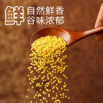 盖亚农场有机小米2.5斤 24年新小黄米粥月子米五谷杂粮 /粮油调味 /杂粮 /谷米类 商品图3