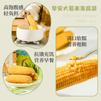 麦秀年早安大苞米东北黄糯玉米2.4斤200g*6穗软糯香甜真空家庭装早餐 /粮油调味 /杂粮 /谷米类 商品图5