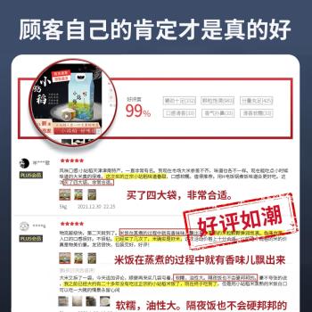小站稻小站稻24年新米小站稻大米10斤日思长粒香天津现磨一级粳米香米 /粮油调味 /米 /长粒香米 商品图2