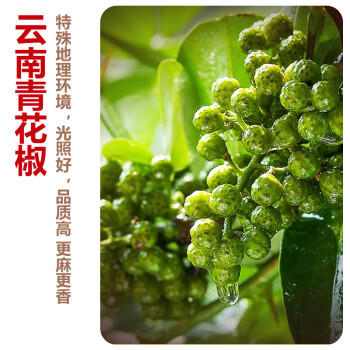 丰味居水煮肉片调料100g*3袋四川麻辣水煮鱼水煮牛肉调味料包 /粮油调味 /调味品 /复合调味料 商品图2