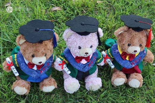 武大珞珈毕业小熊 商品图11