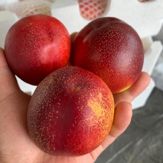 安徽砀山老品种头茬满天星油桃  （软硬两吃）3斤/5斤 商品图6