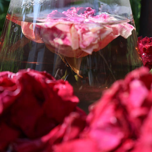 【玫瑰花茶】天然/无农药 商品图4