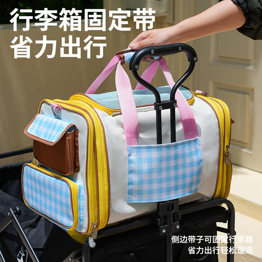 zeze尼斯宠物旅行拓展包-B（包邮） 商品图3