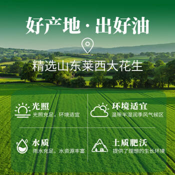 第一坊【保真花生油】冷榨醇香花生油4L 食用油 压榨一级  低油烟   /粮油调味 /食用油 /花生油 商品图0