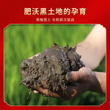 三人行 延寿大米 有机稻香米10斤  真空包装 有机 东北大米 24年新米  /粮油调味 /米 /稻花香米 商品图4