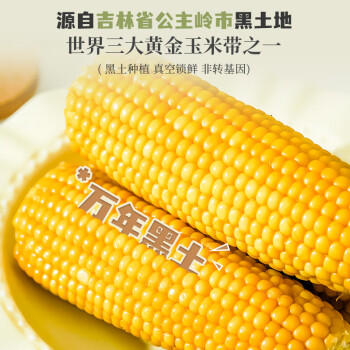 麦秀年早安大苞米东北黄糯玉米2.4斤200g*6穗软糯香甜真空家庭装早餐 /粮油调味 /杂粮 /谷米类 商品图2
