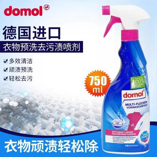 【中欧班列精选】德国衣领净去污喷雾 原装进口ROSSMANN/domol 衣领净去污去黄预洗喷雾750ml/瓶 商品图1