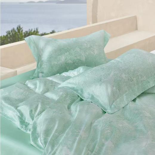 【6F】罗莱·雅 柔心绮丽 TS1268-4 商品图1