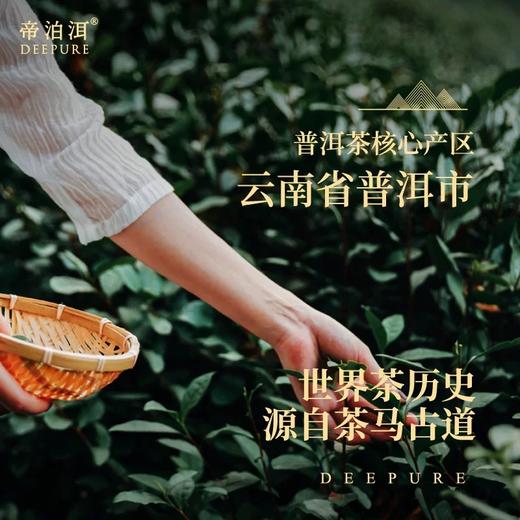 【帝泊洱茶珍 礼盒装】送礼佳选 红、绿两款礼盒按需选择AA 商品图3