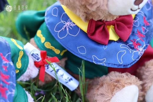 武大珞珈毕业小熊 商品图13