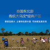 孟乍隆皇家 有机泰国茉莉香米 大米20斤(5kg*2) 新米 原装进口 长粒米 /粮油调味 /米 /泰国香米 商品缩略图2