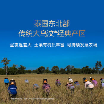 孟乍隆皇家 有机泰国茉莉香米 大米20斤(5kg*2) 新米 原装进口 长粒米 /粮油调味 /米 /泰国香米 商品图2