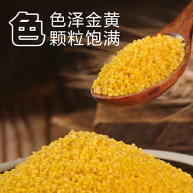 盖亚农场有机小米2.5斤 24年新小黄米粥月子米五谷杂粮 /粮油调味 /杂粮 /谷米类
