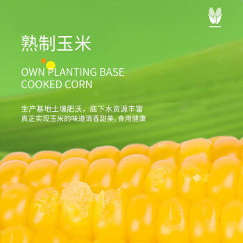 北大荒东北黄糯玉米棒 真空非转基因鲜食玉米黏玉米 4斤 /粮油调味 /杂粮 /谷米类 商品图3