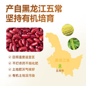 禾小町五常有机红芸豆380g 东北芸豆腰豆菜豆饭豆粥米搭档炖汤煮肉熬粥 /粮油调味 /杂粮 /杂豆类