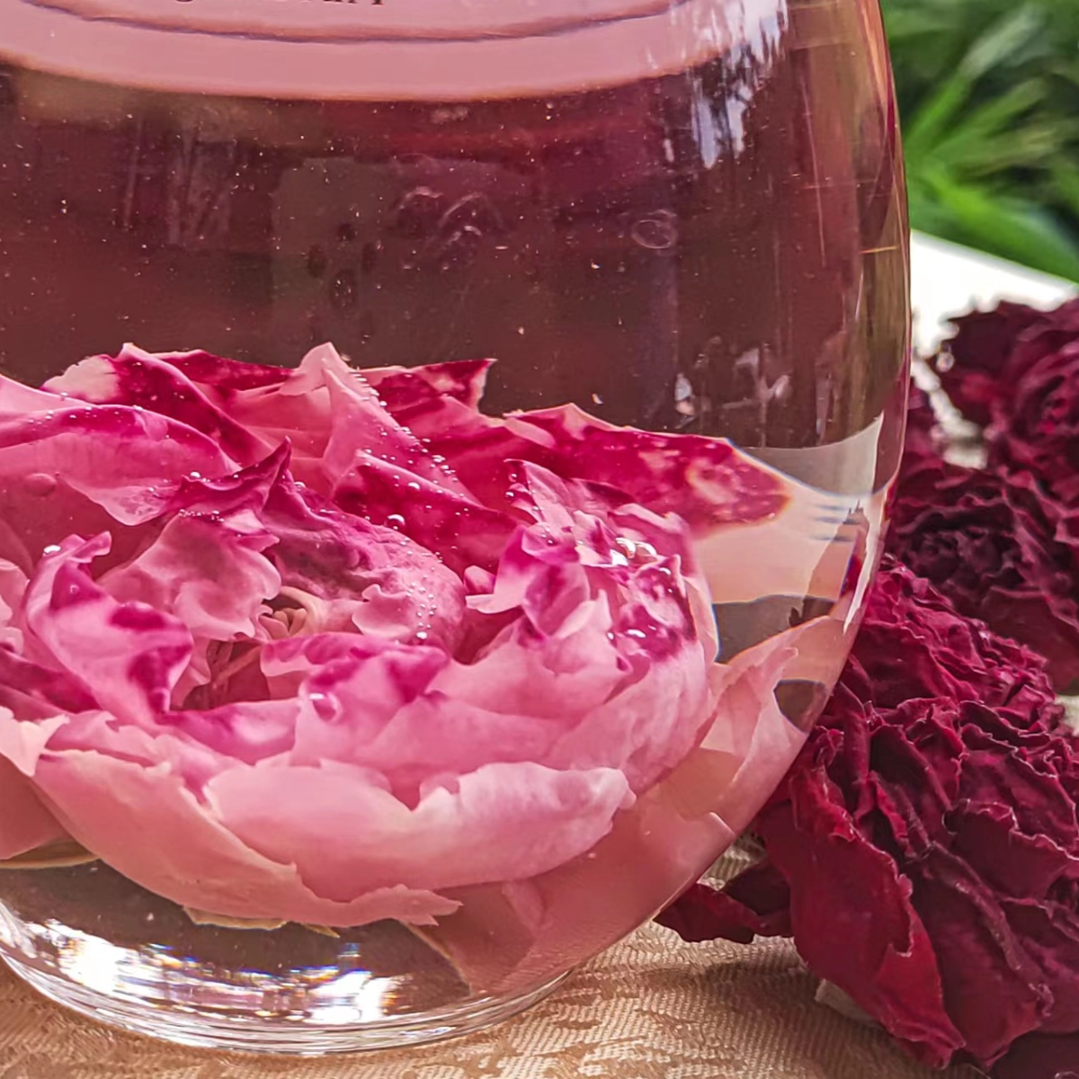 和菜头云南冻干墨红玫瑰