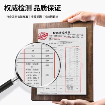 小站稻小站稻24年新米小站稻大米10斤日思长粒香天津现磨一级粳米香米 /粮油调味 /米 /长粒香米 商品图0