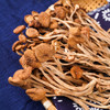 渔欣仙茶树菇250g 蘑菇菌菇食用菌山珍特产炒菜火锅煲汤材料湖南特产 /粮油调味 /南北干货 /菌菇干货 商品缩略图4