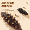 上品堂大连原产地有机干海参250g 50-60只 年货礼盒辽刺参海参自食送礼 /粮油调味 /南北干货 /干海参 商品缩略图4