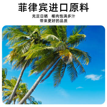 声歌里  烘焙原料进口椰蓉椰丝210g奶油小方糕点面包蛋糕椰丝球装饰原料 /粮油调味 /烘焙原料 /烘焙馅料 商品图0