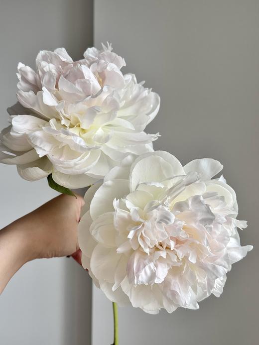 【预售！4.20起陆续发出】珍珠少女【人间四月天，芍药铺庭前】简小姐精选芍药季新品 珍珠少女 5枝 两件包邮 顺丰直发 商品图9