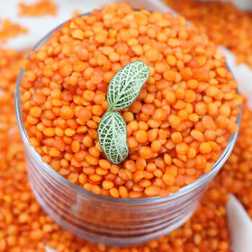 瑞利来土耳其红扁豆3斤低脂 五谷杂粮 粗粮 轻食伴侣 /粮油调味 /杂粮 /杂豆类