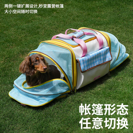 zeze尼斯宠物旅行拓展包-B（包邮） 商品图4
