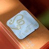 「姜小小普」熟茶饼干茶，一次一袋，好茶焖着喝（40袋*2g） 商品缩略图2