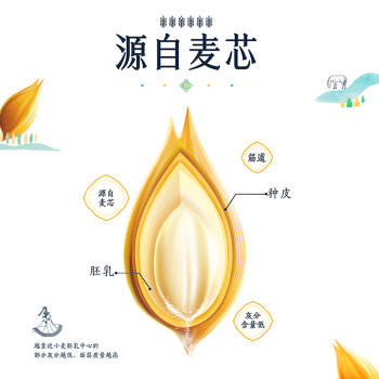 金龙鱼精选内蒙平原雪花粉10斤  来自河套核心产区 /粮油调味 /面粉 /通用粉 商品图3