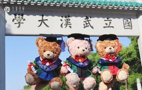 武大珞珈毕业小熊