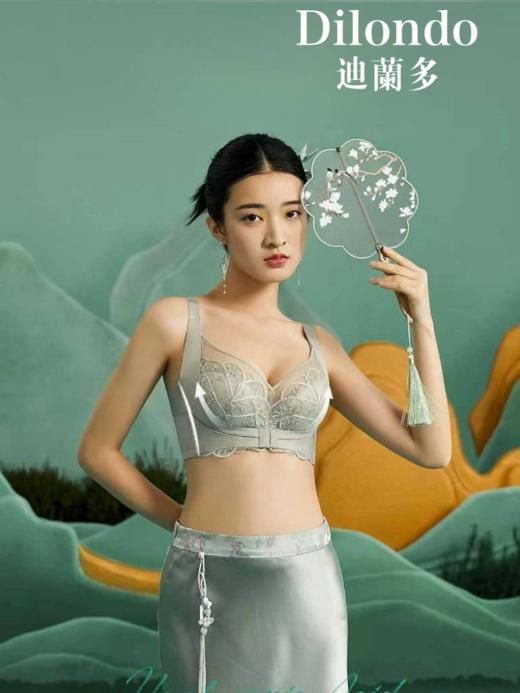 新款小仙托中厚杯内衣小胸显大聚拢防下垂收副乳舒适调整文胸2118452 商品图0