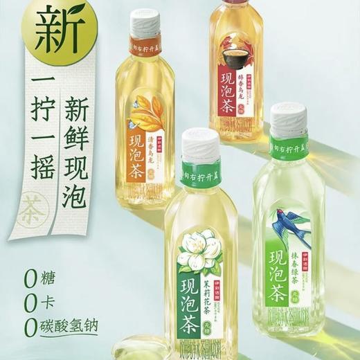 伊刻活泉现泡茶455ml 商品图0