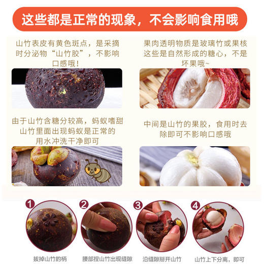 【泰国新鲜山竹】 顺丰包邮 酸甜可口 晶莹剔透 甜蜜多汁 肉质细腻 肉嫩雪白 3种规格任选 商品图7