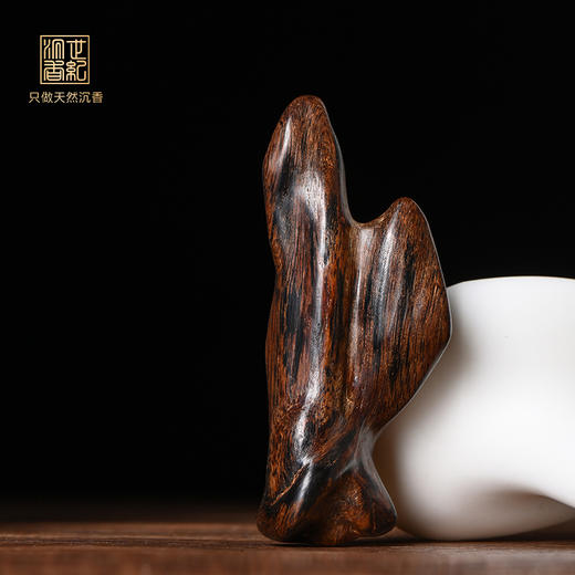 天然都蓬沉香 沉水级 16.5克 SP11272 商品图0