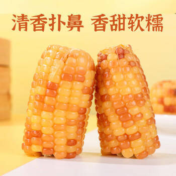 滇园（dianyuan） 云南西双版纳香糯小玉米礼盒装3斤 大号拇指玉米粗粮0添加  /粮油调味 /杂粮 /谷米类 商品图3