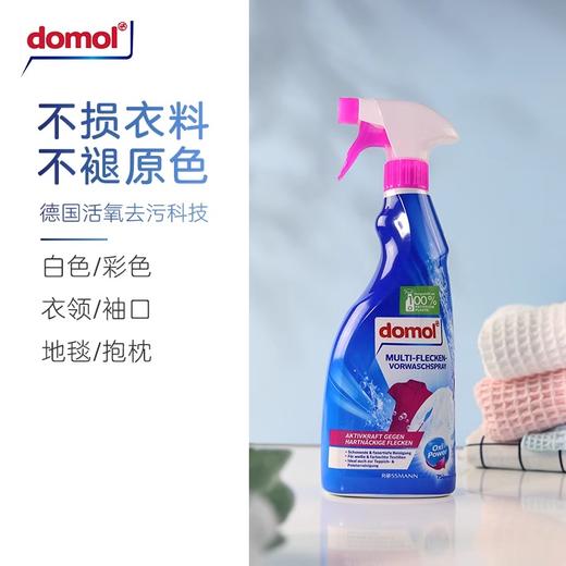 【中欧班列精选】德国衣领净去污喷雾 原装进口ROSSMANN/domol 衣领净去污去黄预洗喷雾750ml/瓶 商品图4
