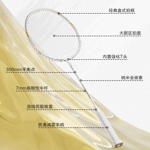 李永波LYB 羽毛球拍单拍全碳素超轻5U比赛训练拍升级锋芒L6 商品图2