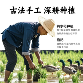 花中花 银丝香米 20斤 南方大米 当季新稻 长粒米香米 籼米 20斤 /粮油调味 /米 /其他大米